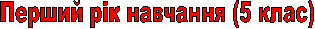Перший рік навчання (5 клас)